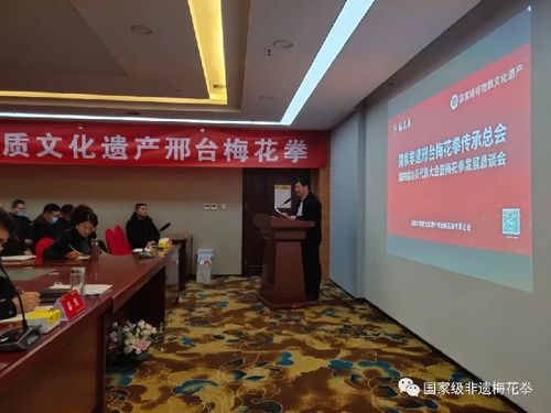 邢臺梅花拳發展懇談會 傳承武術文化，共謀發展新篇